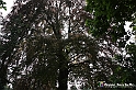 VBS_1578 - Castello di Miradolo - Mostra Oltre il giardino l'Abbecedario di paolo Pejrone
